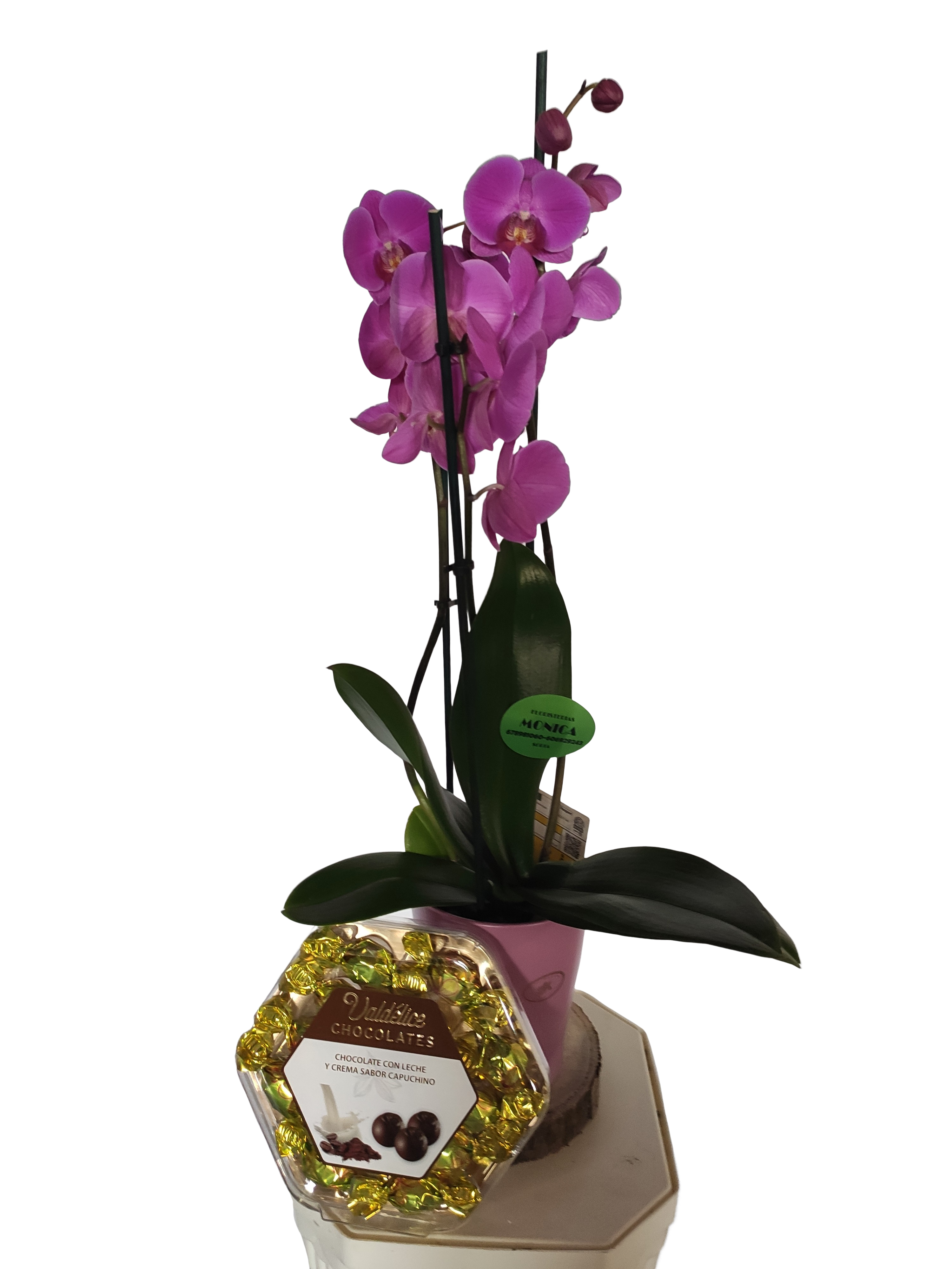 Orquídea con macetero y bombones